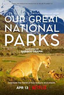 Приключение в дикой природе - великолепие лучших национальных парков планеты, встречающих всех с незабываемыми пейзажами и фауной