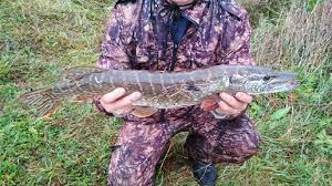 Рыбачий сезон - поиски самой вкусной рыбы России